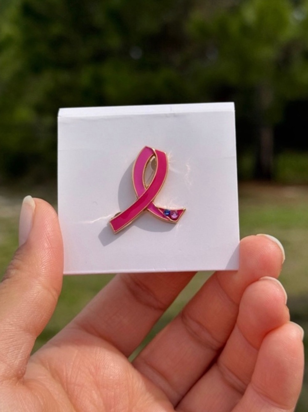 Estรฉe Lauder Breast Cancer Pink Ribbon Brooches